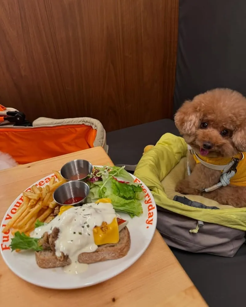夢鹿咖啡 Cafe Moose 三重店