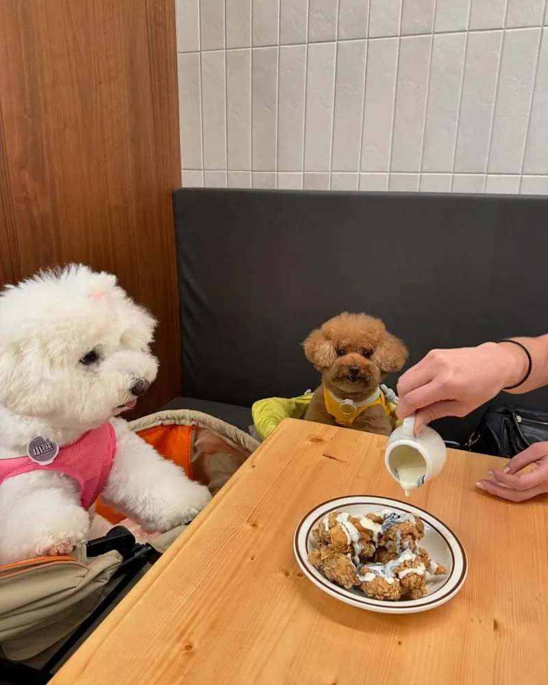 夢鹿咖啡 Cafe Moose 三重店