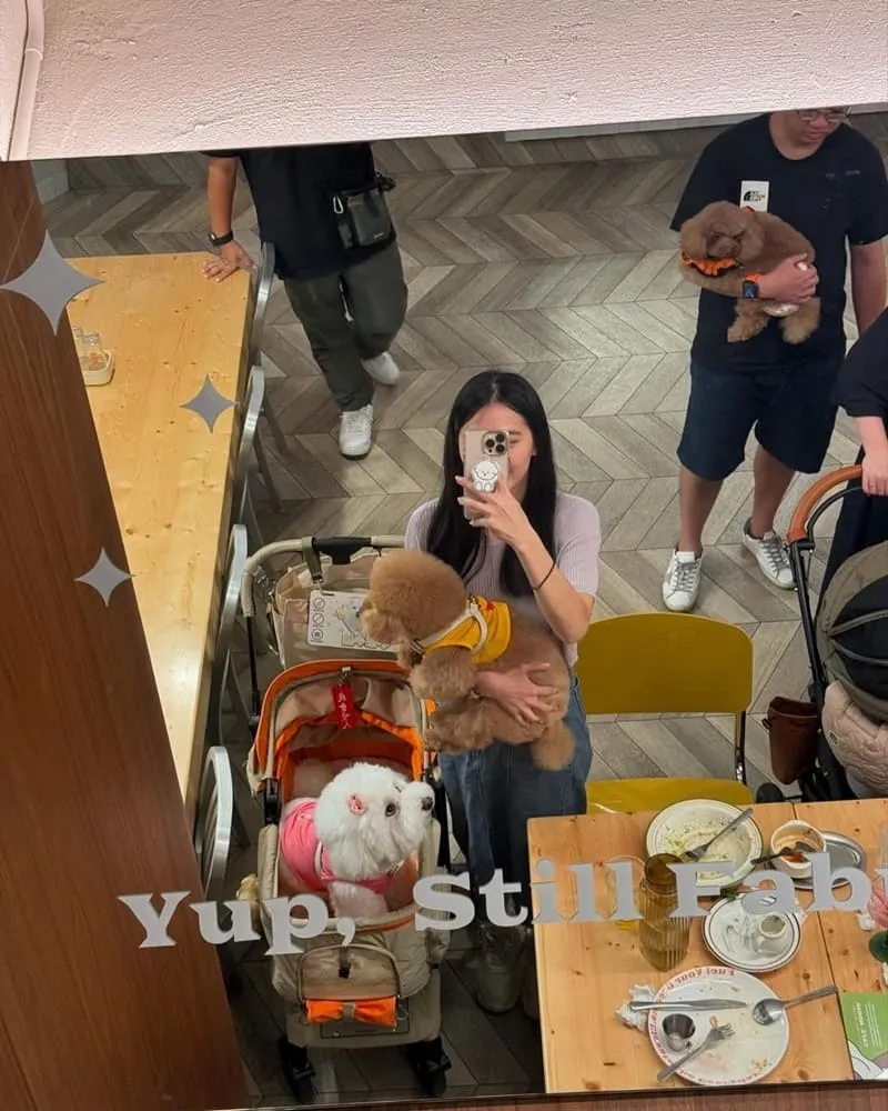 夢鹿咖啡 Cafe Moose 三重店