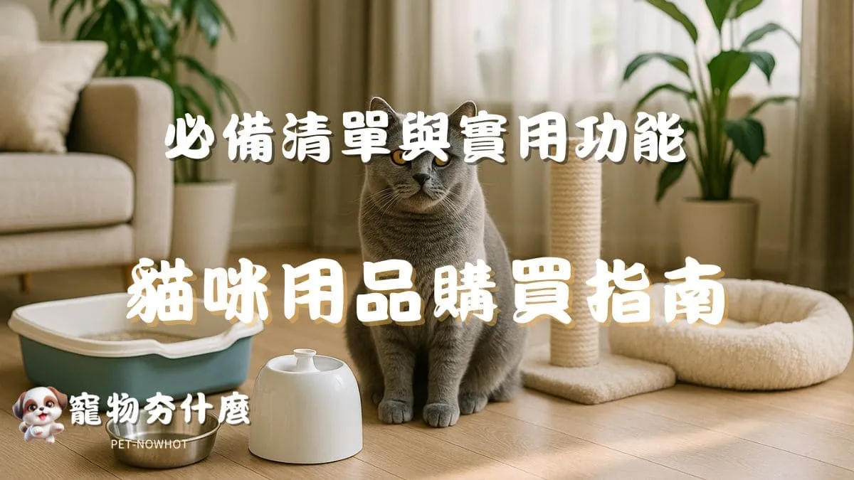 貓咪用品購買指南