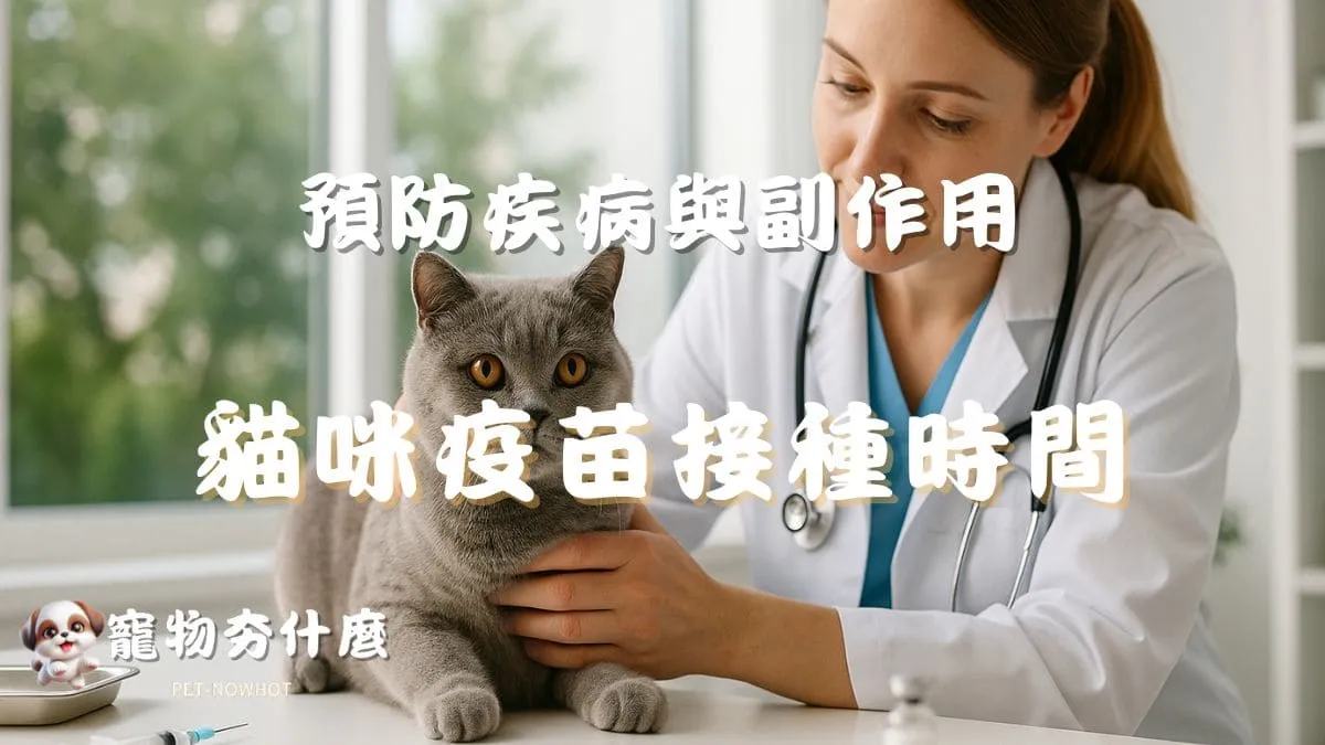 貓咪疫苗接種時間表