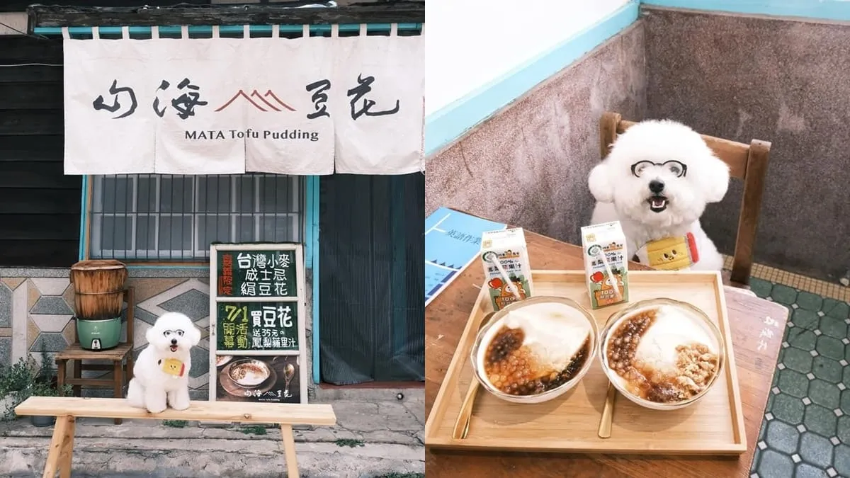 山海豆花嘉義店