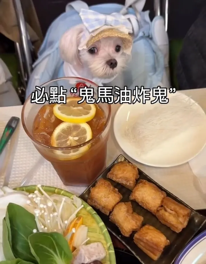 一雞鍋港式雞煲火鍋桃園藝文店