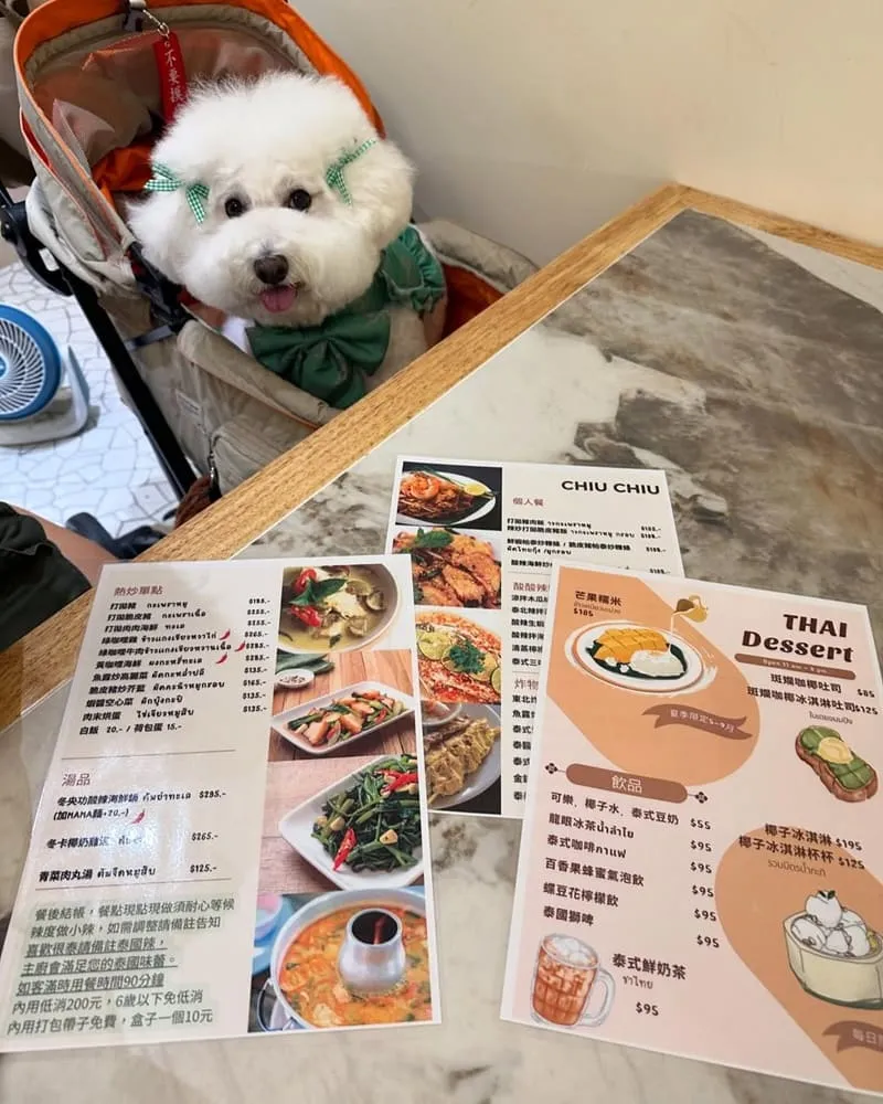 Chiu Chiu Thai Cafe 泰式料理