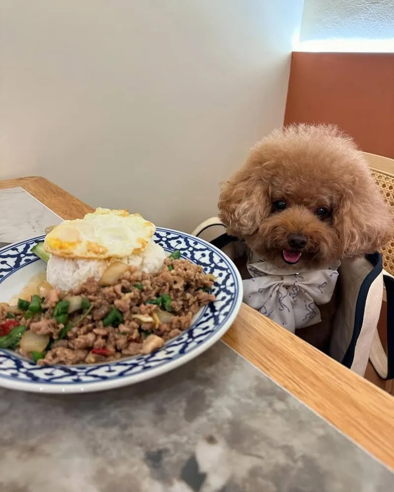 Chiu Chiu Thai Cafe 泰式料理