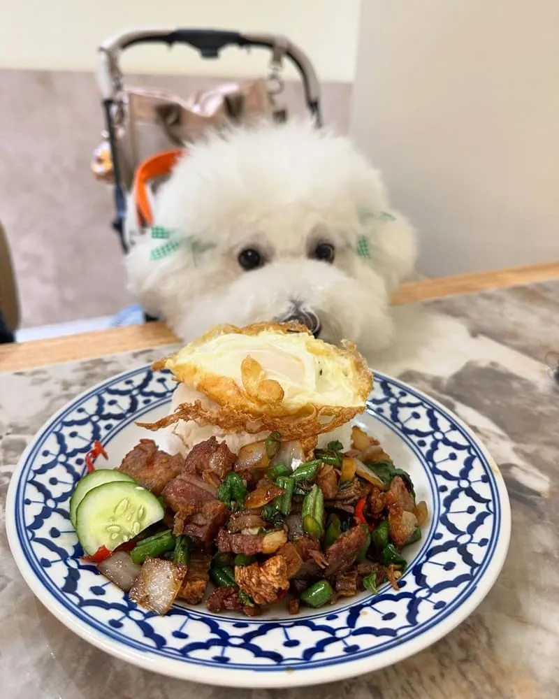 Chiu Chiu Thai Cafe 泰式料理