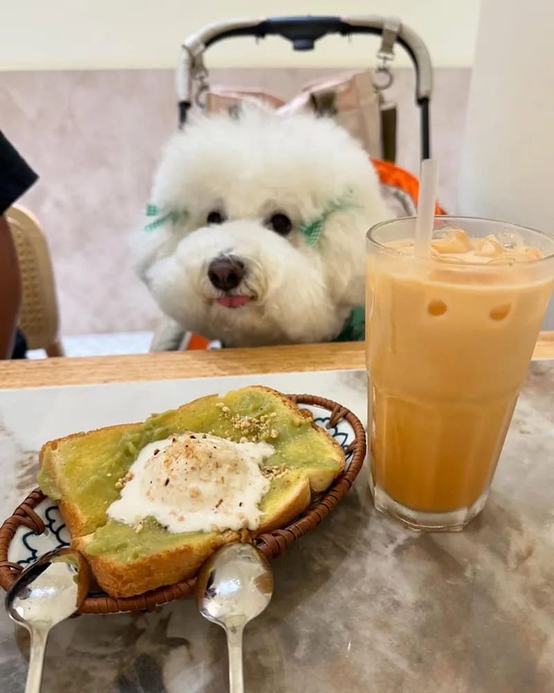 Chiu Chiu Thai Cafe 泰式料理