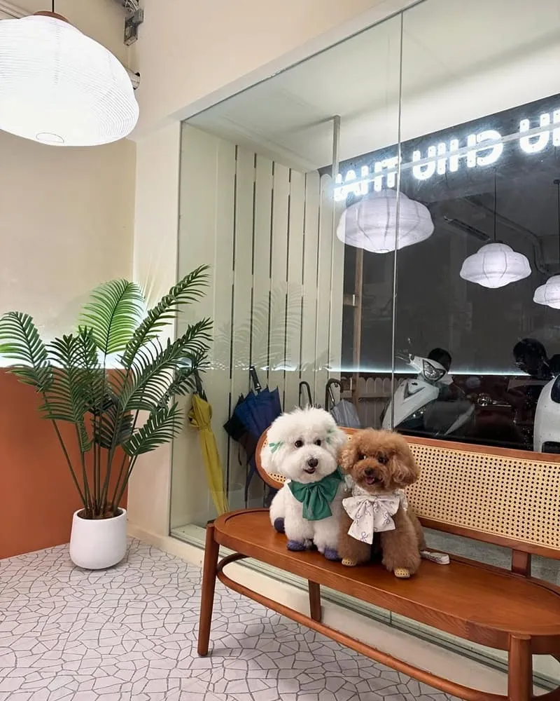 Chiu Chiu Thai Cafe 泰式料理