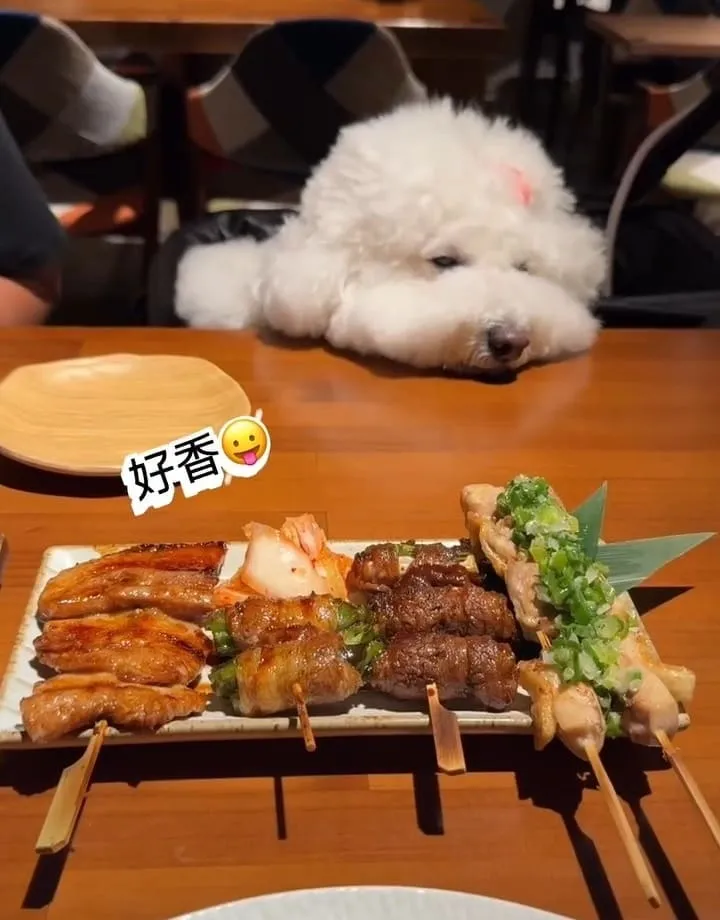 串串堂桃園藝文特區