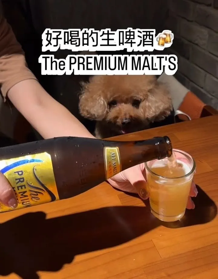串串堂桃園藝文特區