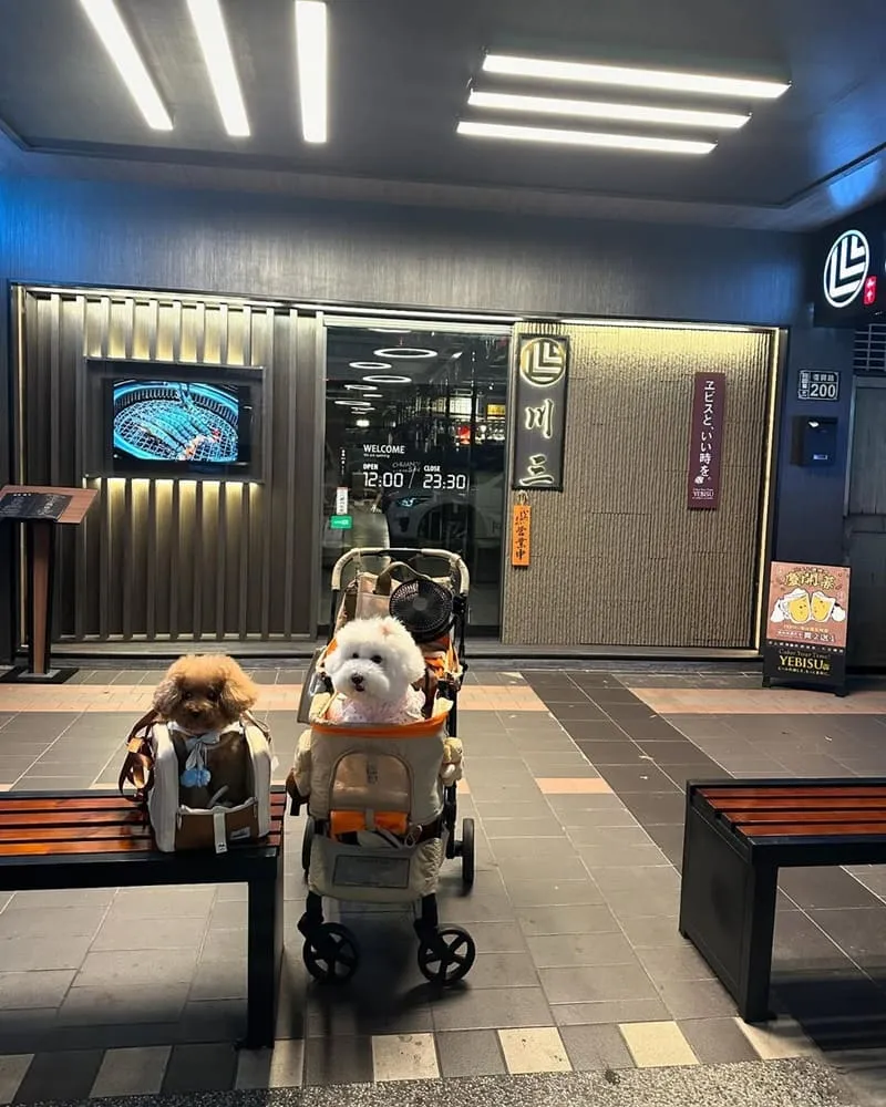 川三上選燒肉桃園店