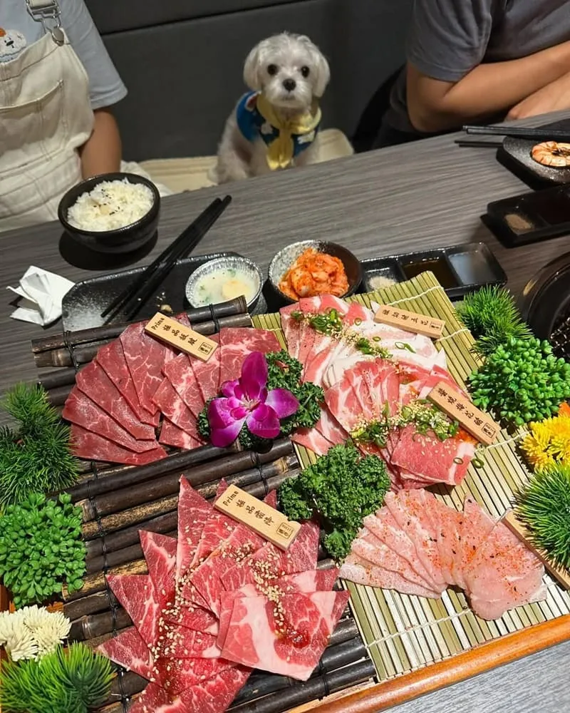 川三上選燒肉桃園店