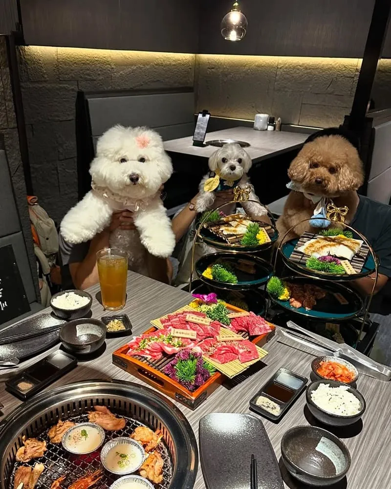 川三上選燒肉桃園店