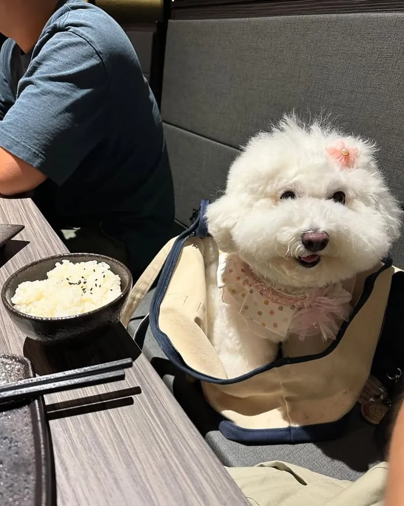 川三上選燒肉桃園店