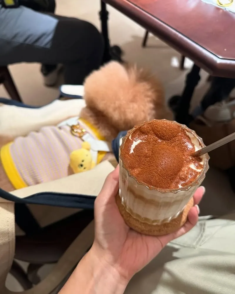 春山ChunShan Cafe