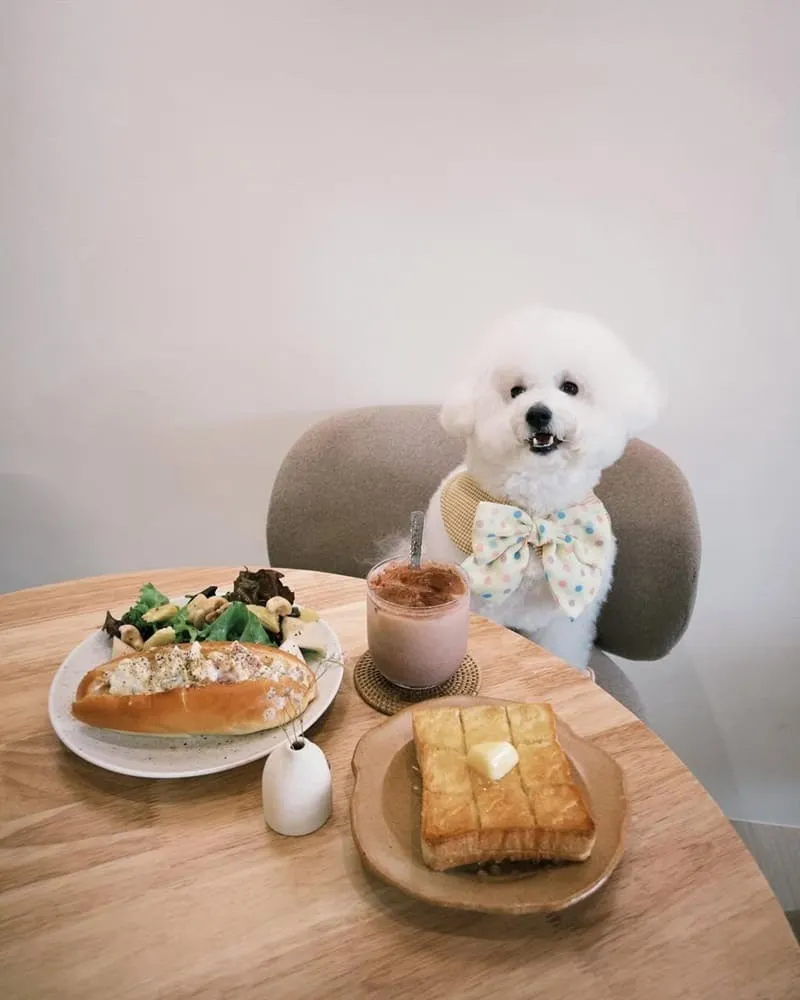 嘉義日日珈啡 Daily Café