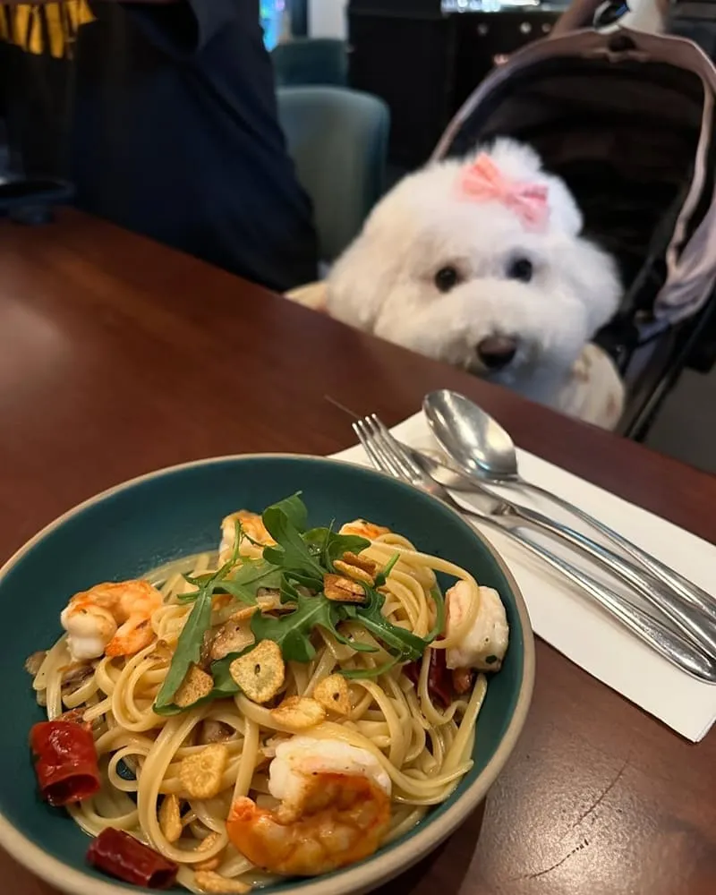 日日好食Daily112