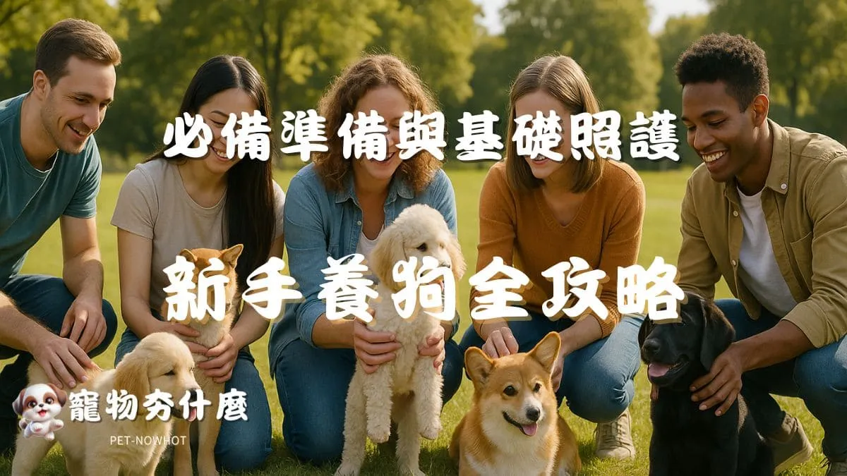 新手養狗全攻略