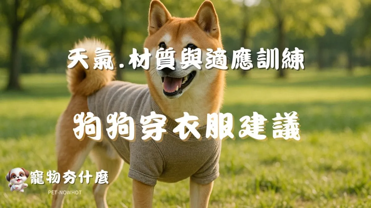 狗狗穿衣服建議