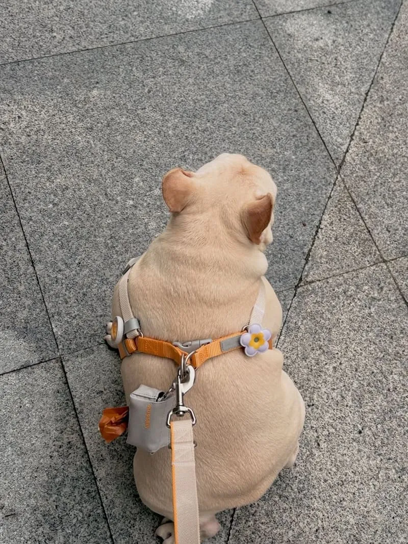 tails&me 尾巴與我犬快套胸背帶