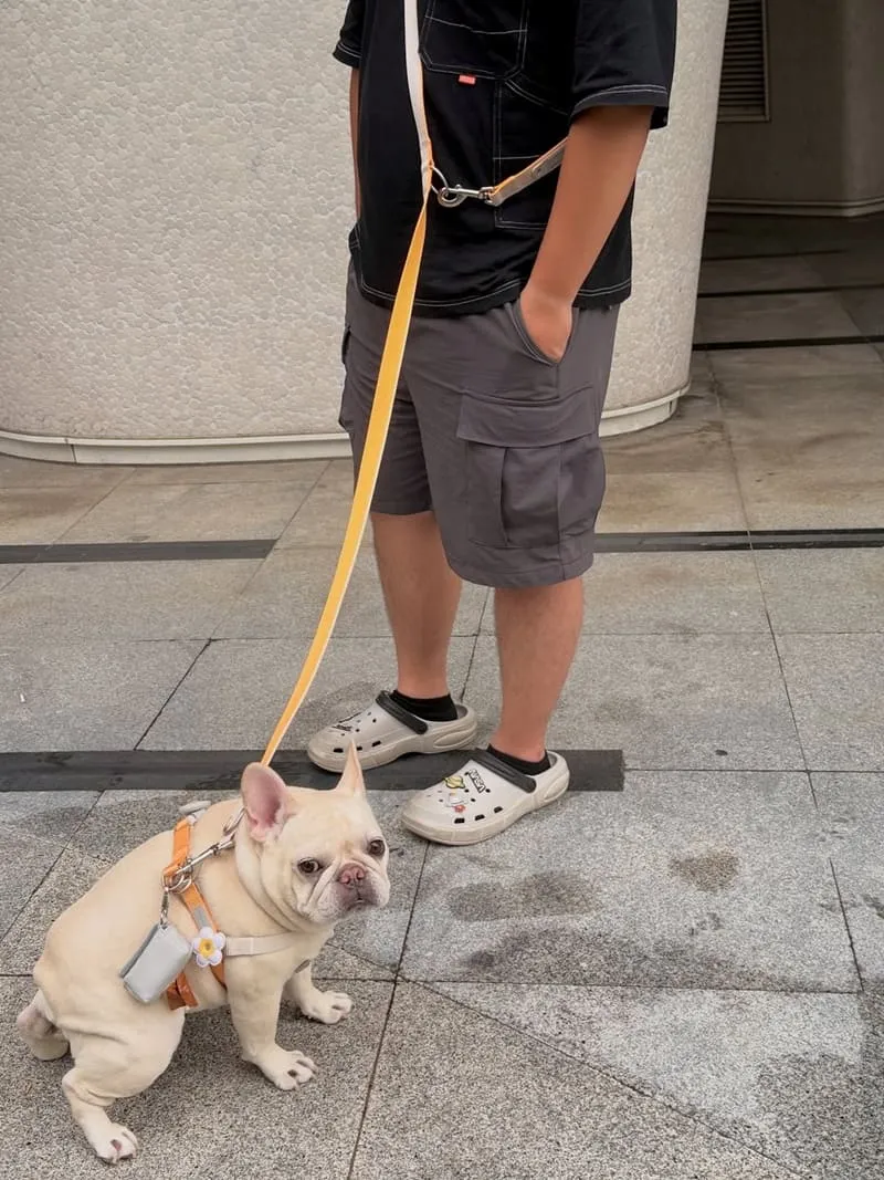 tails&me 尾巴與我犬快套胸背帶