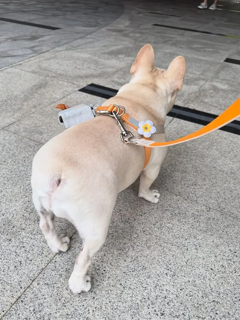tails&me 尾巴與我犬快套胸背帶