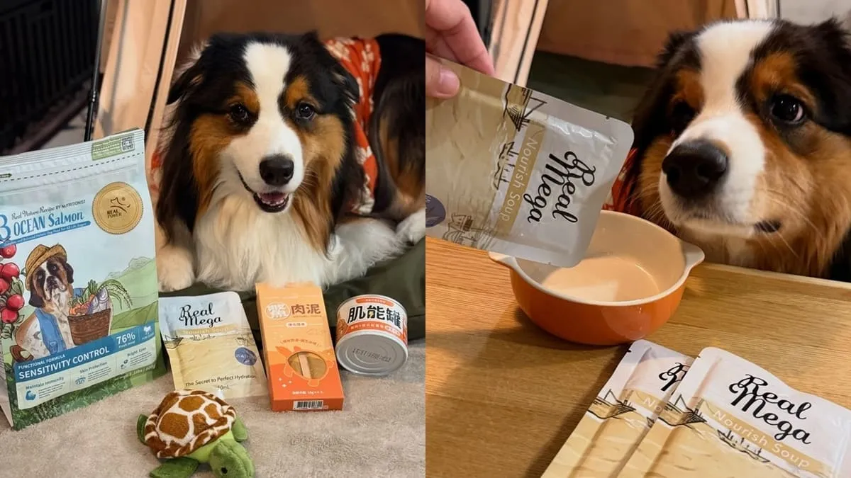 瑞威全犬3號海洋魚貝舒敏護膚配方