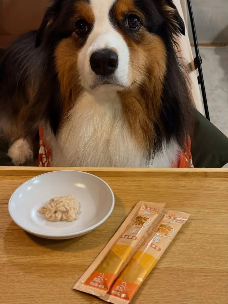 瑞威全犬3號海洋魚貝舒敏護膚配方