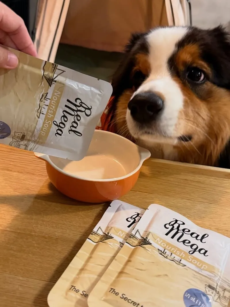 瑞威全犬3號海洋魚貝舒敏護膚配方