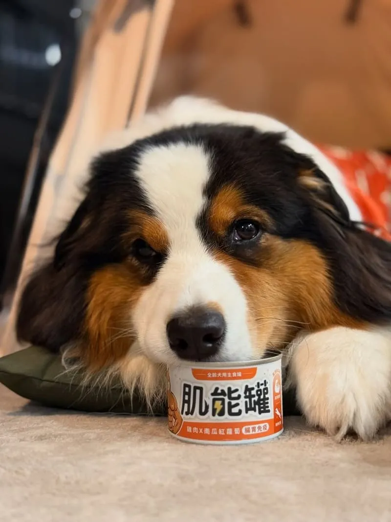 瑞威全犬3號海洋魚貝舒敏護膚配方