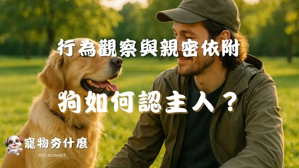 狗狗如何認主人？