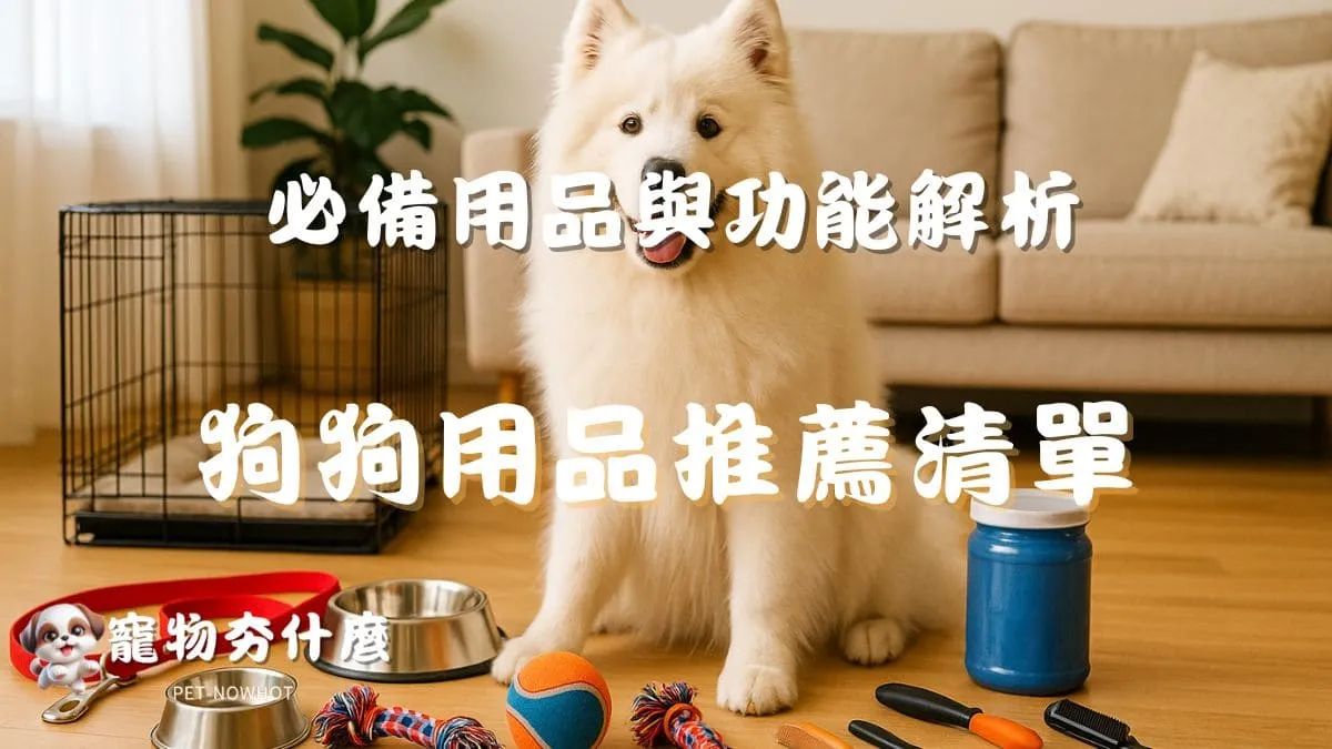 狗狗用品推薦清單