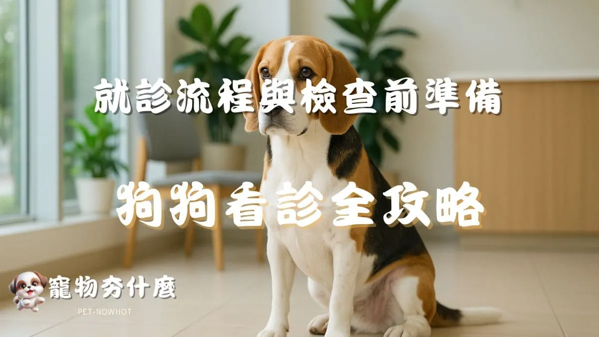 狗狗看診全攻略