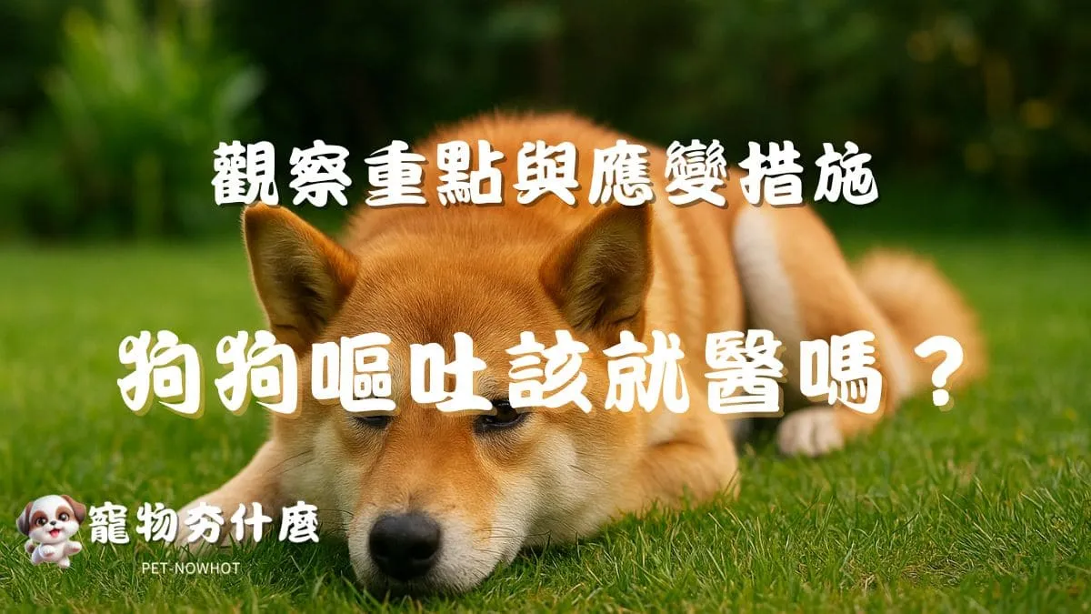 狗狗嘔吐該就醫嗎？