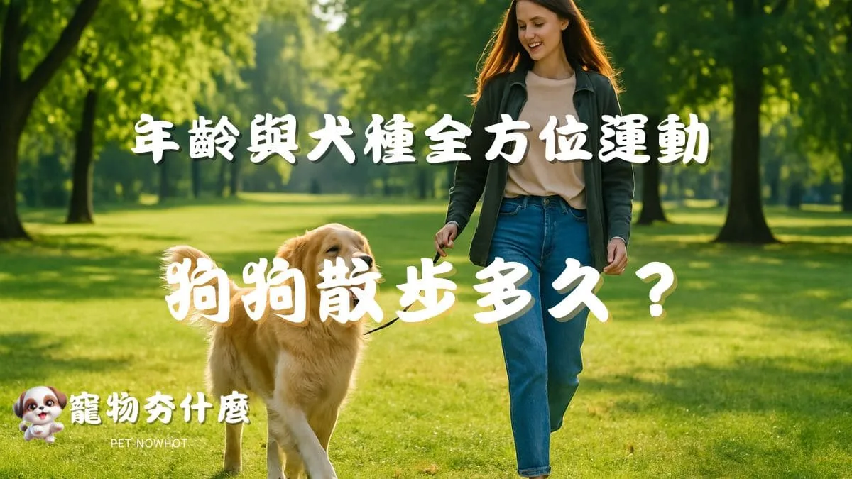 狗狗散步多久才健康？