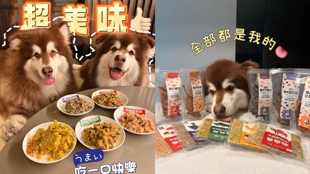 滴口水毛孩鮮食 DROOLICK