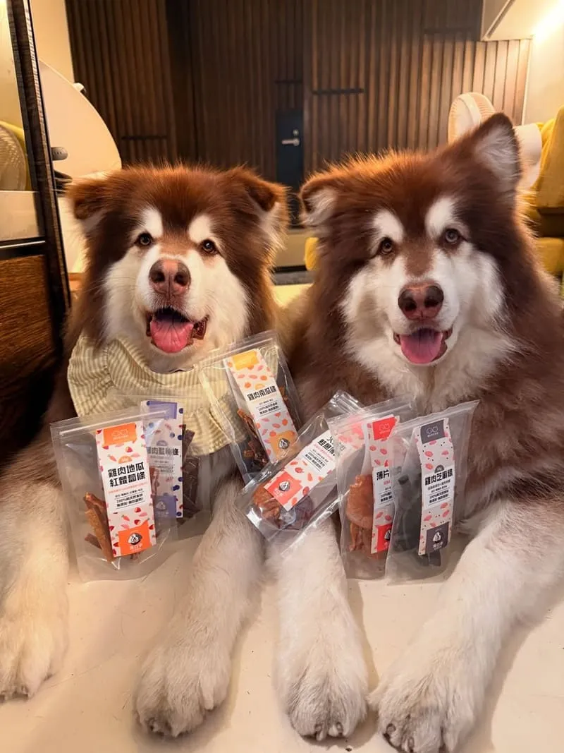 滴口水毛孩鮮食 DROOLICK 