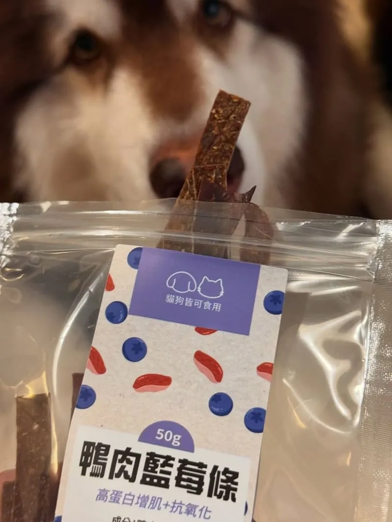 滴口水毛孩鮮食 DROOLICK 