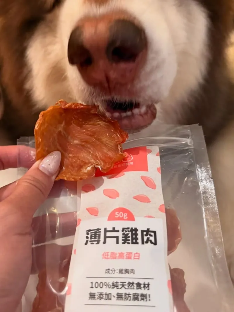 滴口水毛孩鮮食 DROOLICK 