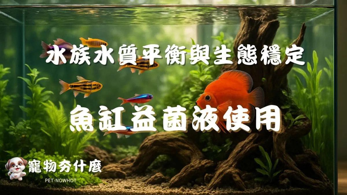 魚缸益菌液使用建議