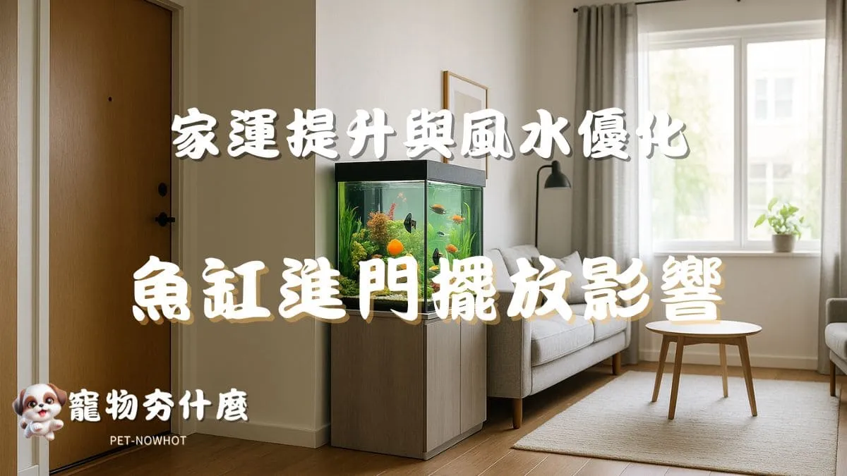 魚缸進門擺放影響分析