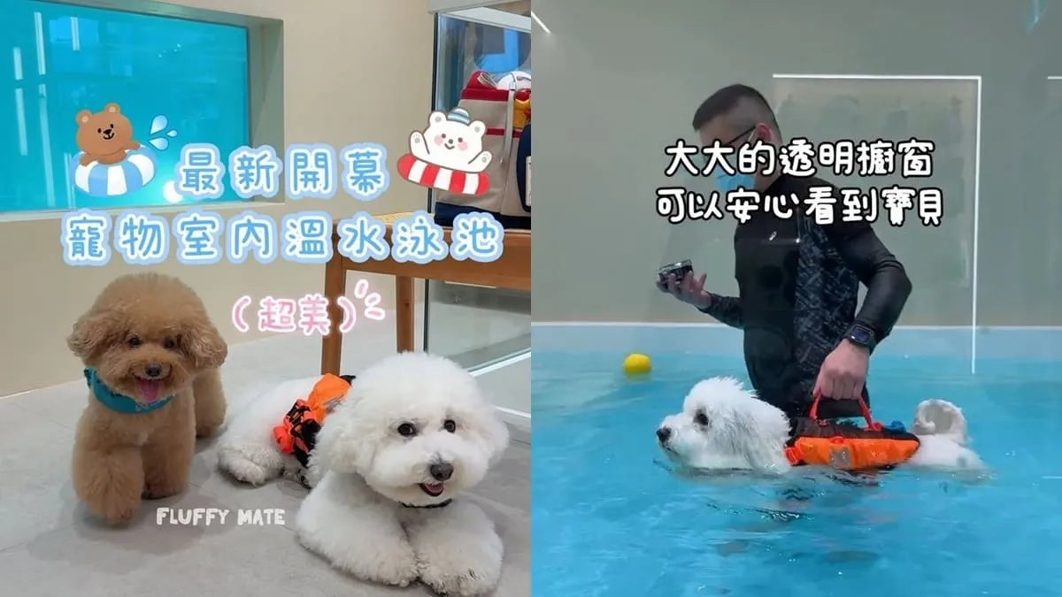 好多毛寵物 Fluffy Mate