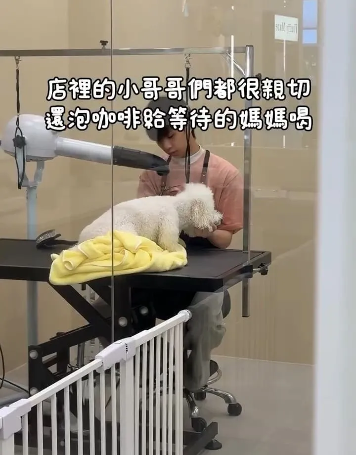 好多毛寵物 Fluffy Mate