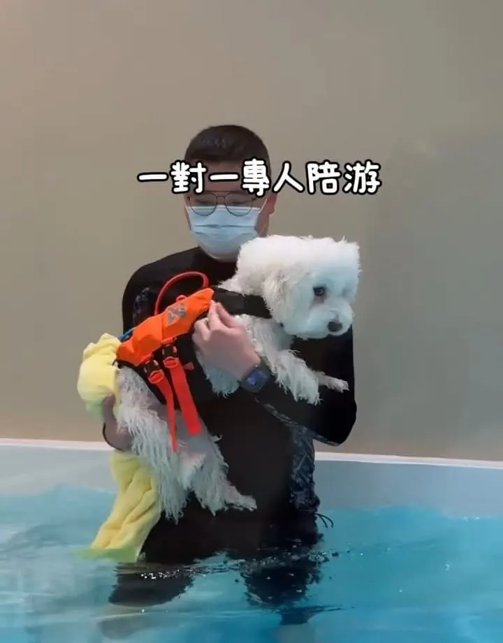 好多毛寵物 Fluffy Mate