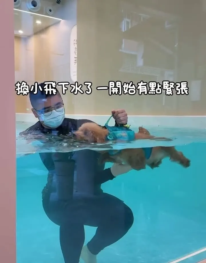 好多毛寵物 Fluffy Mate