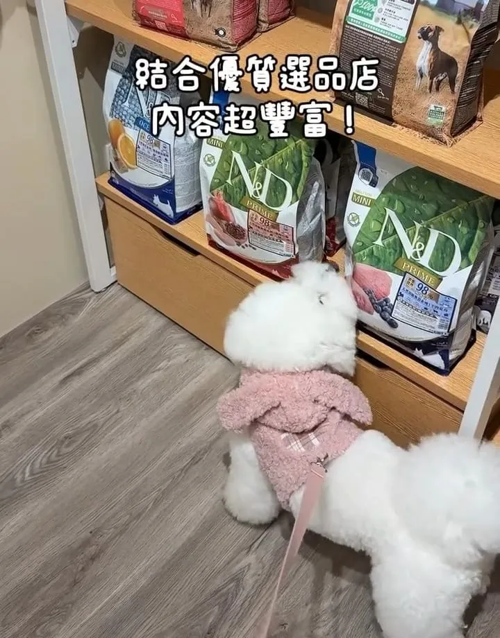 好多毛寵物 Fluffy Mate
