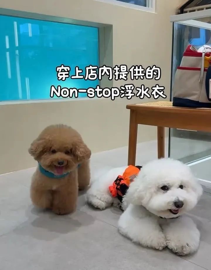 好多毛寵物 Fluffy Mate