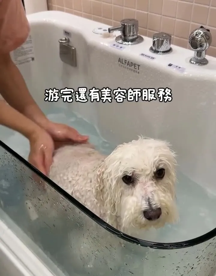 好多毛寵物 Fluffy Mate
