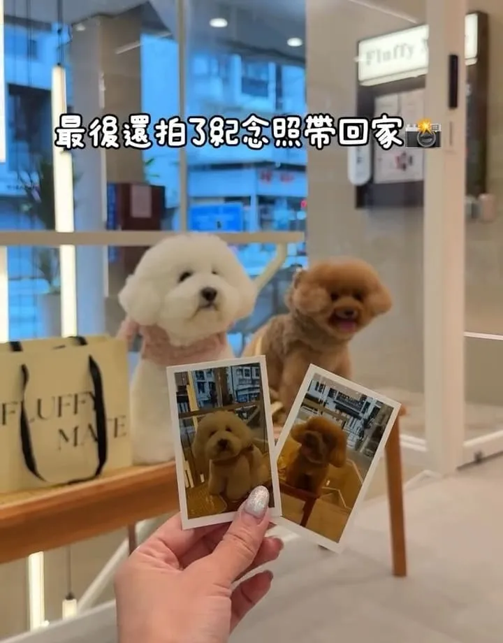 好多毛寵物 Fluffy Mate