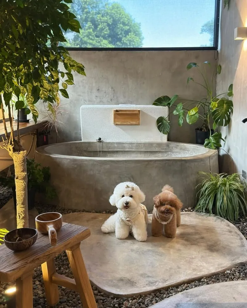 宜蘭小雨林民宿